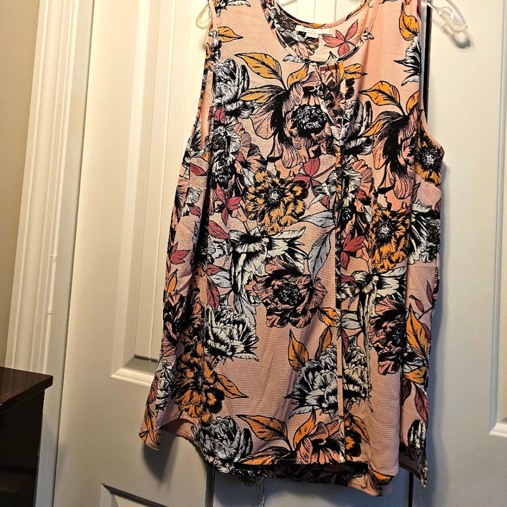 Cute sleeveless, size 2X sleeveless top. Brand is C & E.